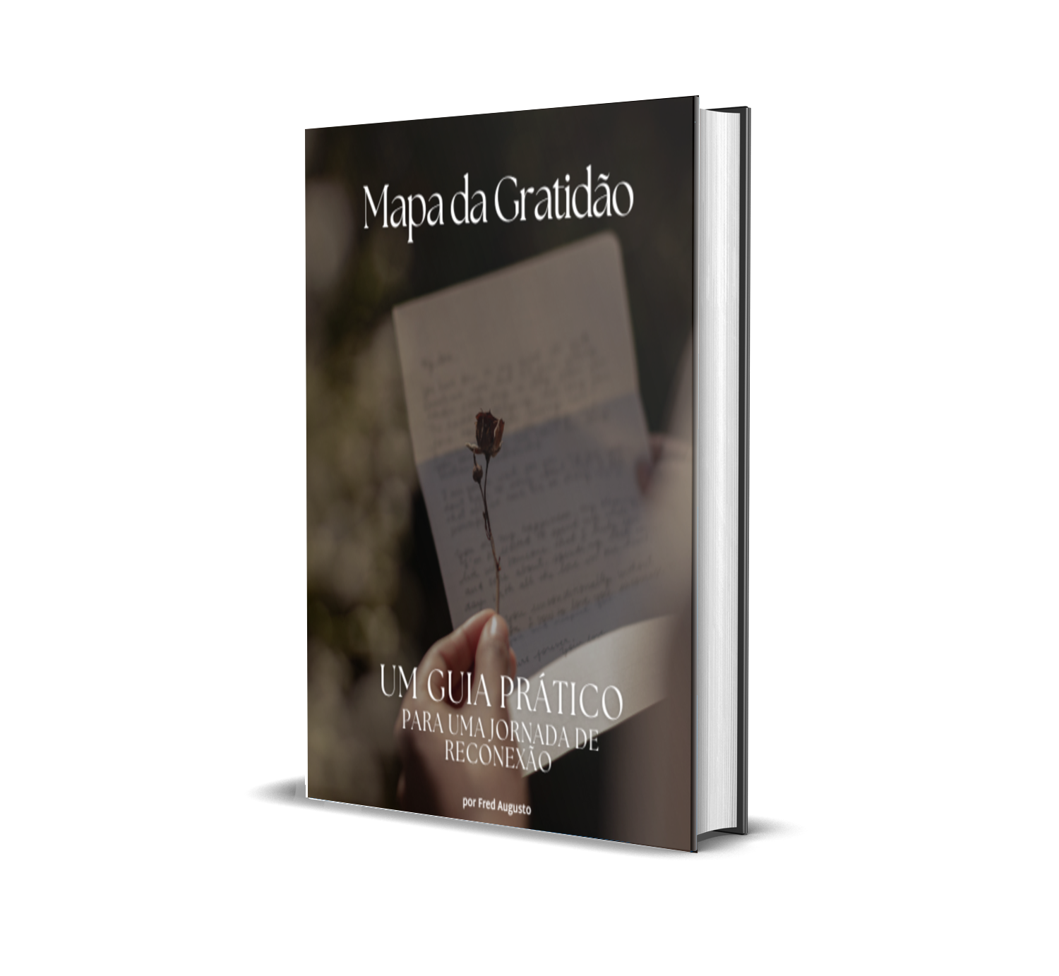 Caderno da Gratidão 3 1751566603